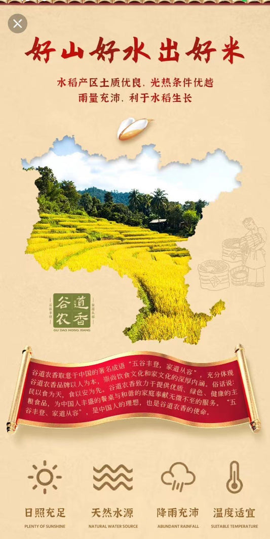 China Gu Dao Nong Xiang Premium Short-grain Rice Top Supplier For Restaurants 5KG 谷道农香 国香粘米