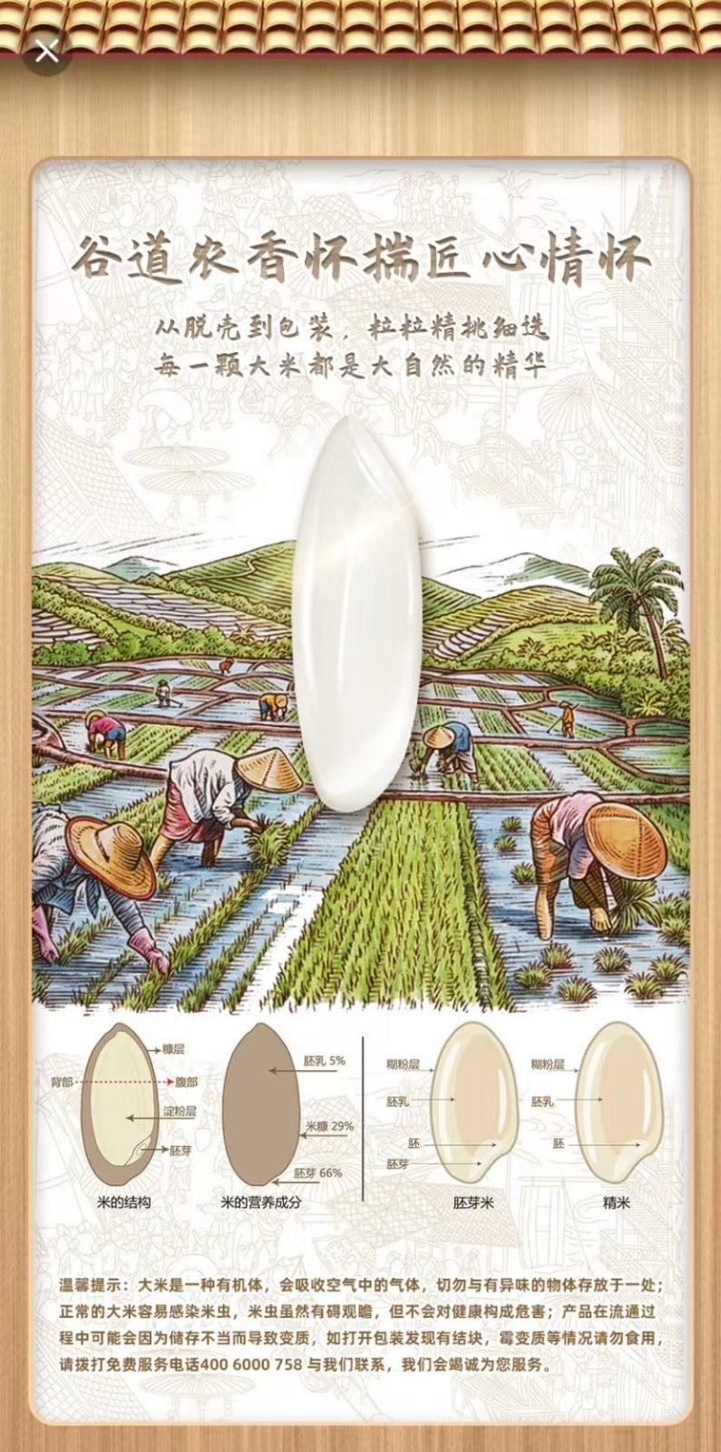 China importó Gu Dao Nong Xiang Proveedor superior de arroz de grano corto premium para restaurantes 5 KG 谷道农香 国香粘米