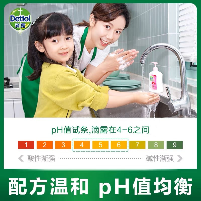 Dettol PH Balanced Hand Sanitizer Original Skin Care Anti-Bacteria 500g