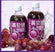 Ying Bei Jian Prune High Fiber juice 500ml Healty Juice