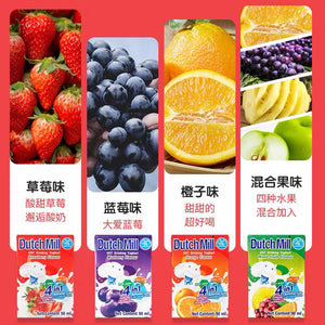 Thailand Dutch Mill Yogurt Fruit Flavor 90ml*4pc
