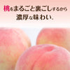 [Japan No.1] FUJIYA NECTAR Peach Juice