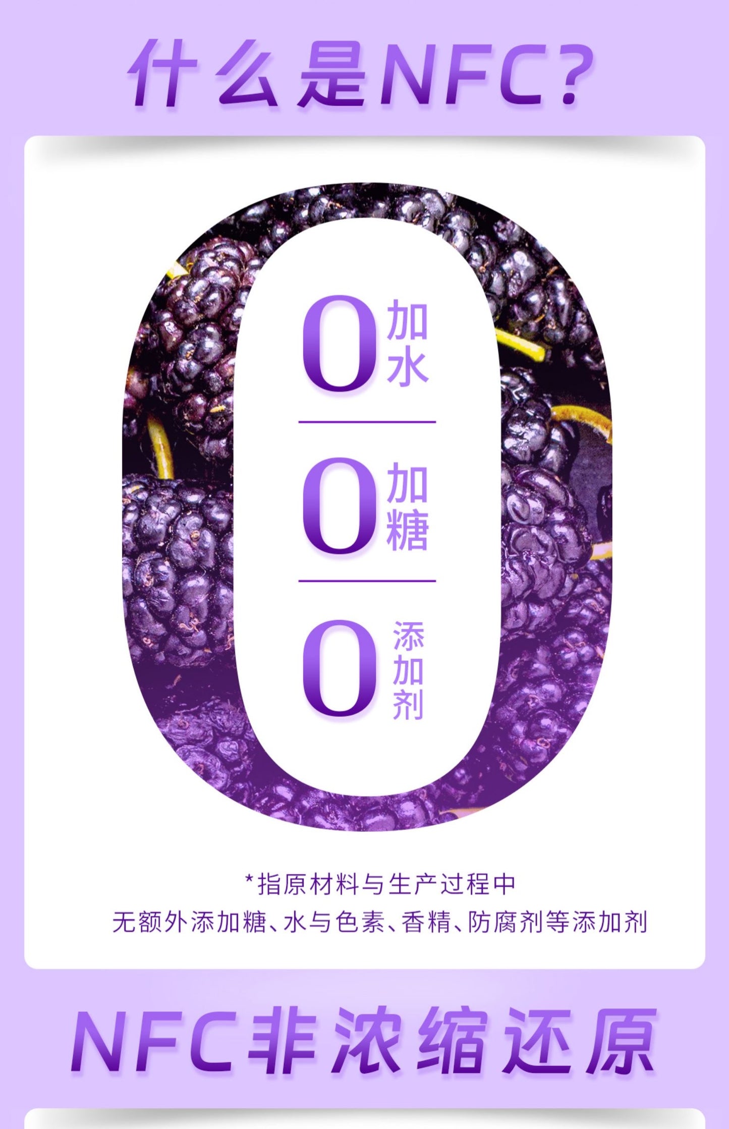 Bao Sang Yuan 100% NFC Mulberry Juice 468ml 0 Sugar Not From Concentrate