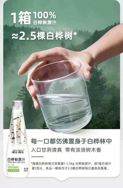 Migu NFC Birch Sap Birch Water 280ml  咪谷咪谷NFC白桦树汁饮料 280ml