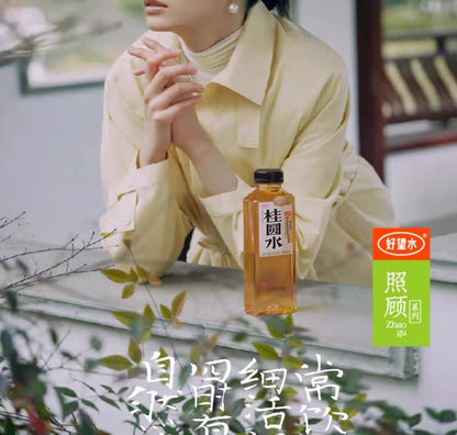 Hao Wang Shui 0 Sugar Longan Dragon Eye Fruit Water 500ml 好望水 桂圆水