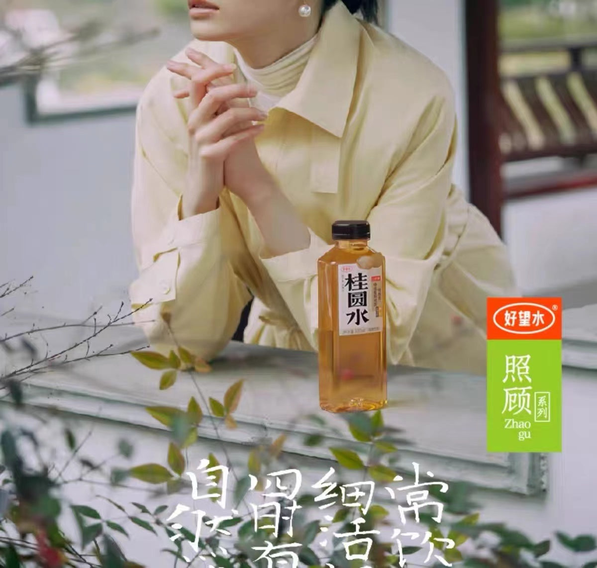 Hao Wang Shui 0 Sugar Longan Dragon Eye Fruit Water 500ml 好望水 桂圆水