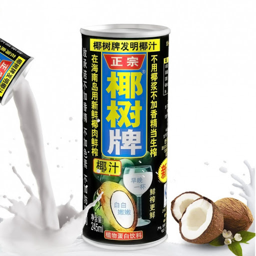 China Coconut Juice 245ml