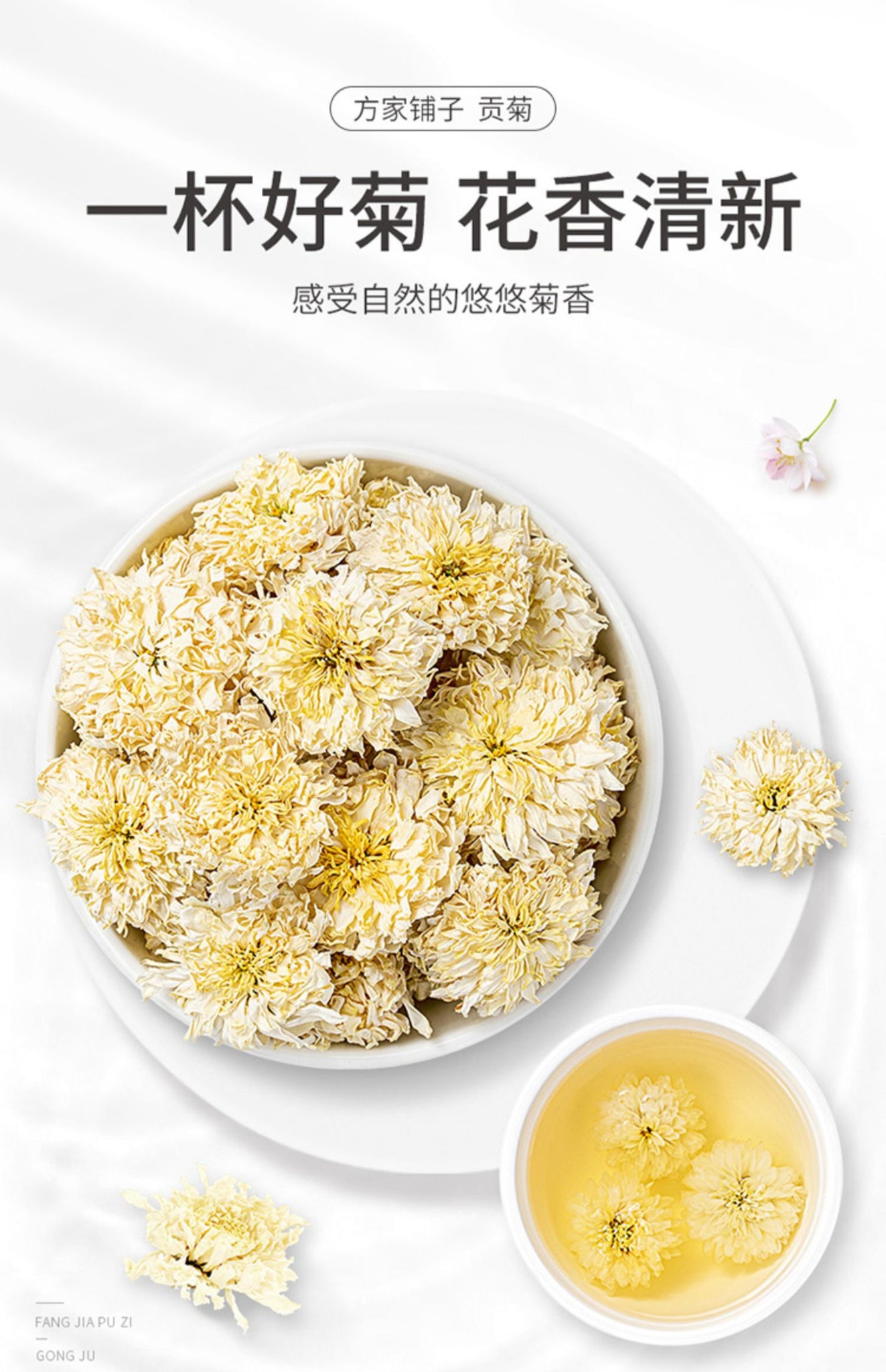 China Top Seller Mr Fang Store Premium Florists Chrysanthemum 40g