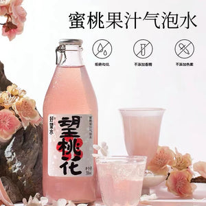 ITQI Award Winning Hao Wang Shui Hawthorn Sparkling Drink 300ml 好望水果汁气泡水