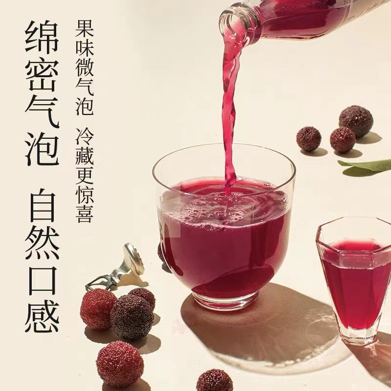 ITQI Award Winning Hao Wang Shui Hawthorn Sparkling Drink 300ml 好望水果汁气泡水