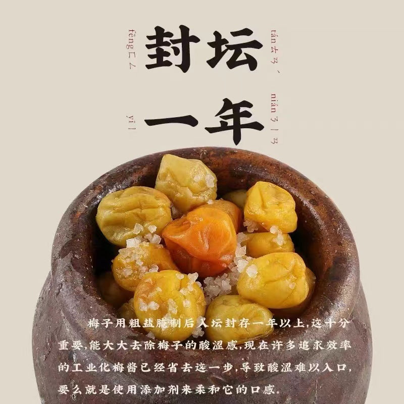 Chao Shan Delicacy Plum Sauce 200g Cooking Paste Dipping Sauce 潮汕集锦 梅酱