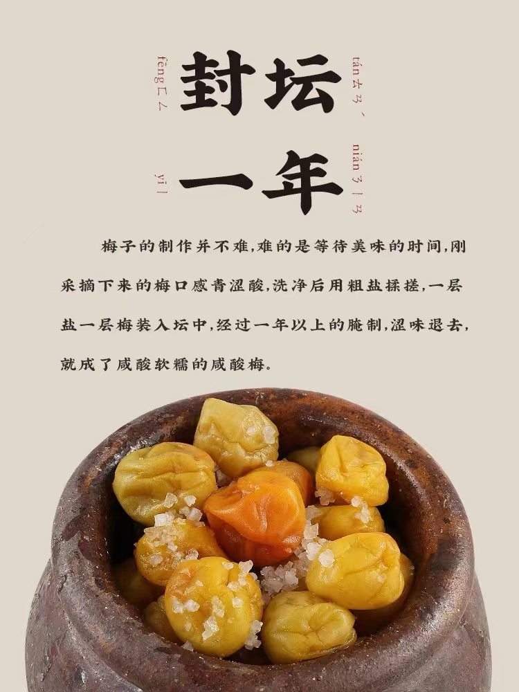 Chao Shan Delicacy Sour Plum Sauce 160g Cooking Paste Dipping Sauce 潮汕集锦 咸酸梅