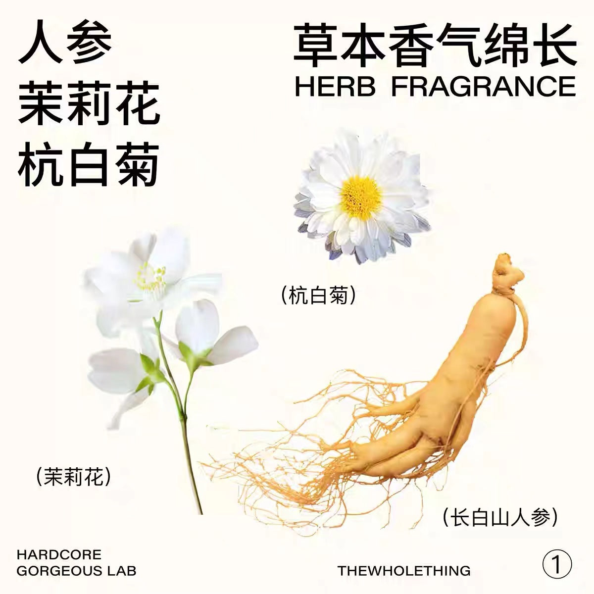 Yi Zheng Gen Ginseng Water 480ml 一整根人参水