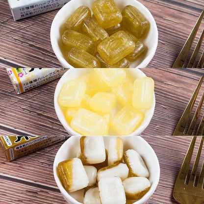 Japan Genuine Ryukakusan Throat Lozenges