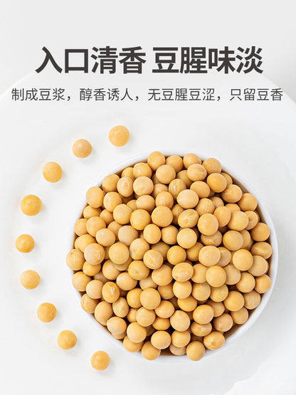 Frijoles amarillos orgánicos Mr Fang Store, los más vendidos de China, 450 g