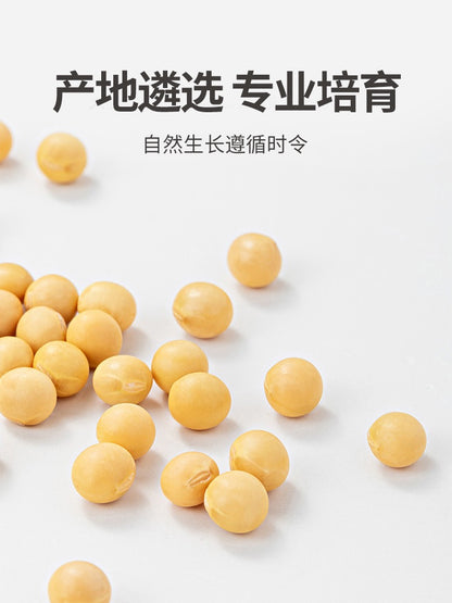 Frijoles amarillos orgánicos Mr Fang Store, los más vendidos de China, 450 g