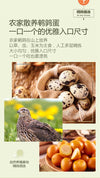 Xian Ben Xian Quail Eggs Salted Flavor 120g 鲜本鲜鹌鹑蛋