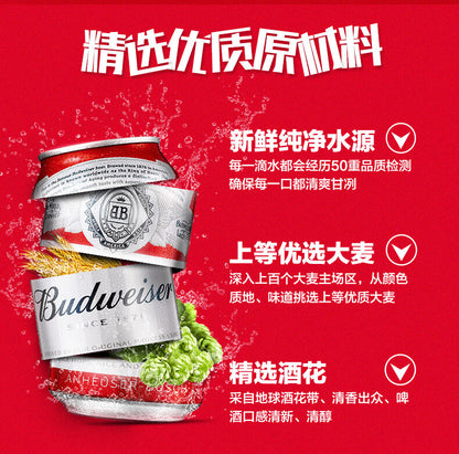 Budweiser Beer 330ml 百威啤酒