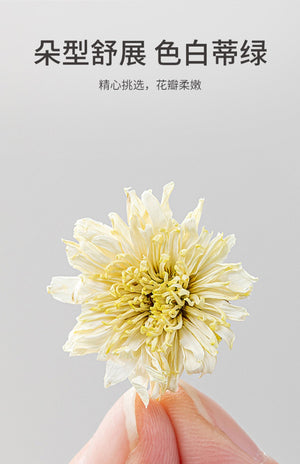 China Top Seller Mr Fang Store Premium Florists Chrysanthemum 40g