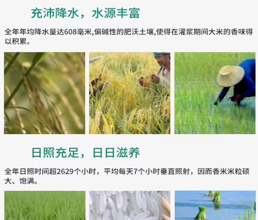Arroz de grano corto premium Tian Duo Wan importado de China, 5 kg 添多碗 油粘米