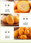 Xian Ben Xian Quail Eggs Salted Flavor 120g 鲜本鲜鹌鹑蛋