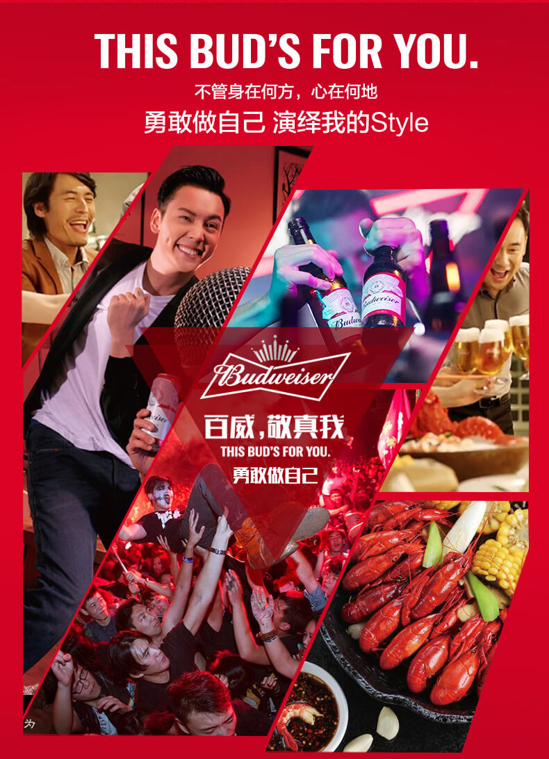 Budweiser Beer 330ml 百威啤酒