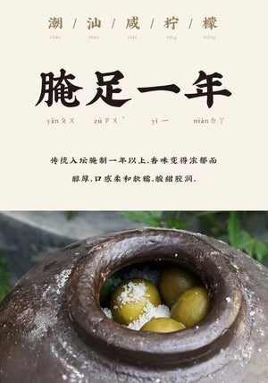Chao Shan Delicacy Salted Lemon 530g Good Taste with Sprite or Soda water 潮汕集锦 咸柠檬